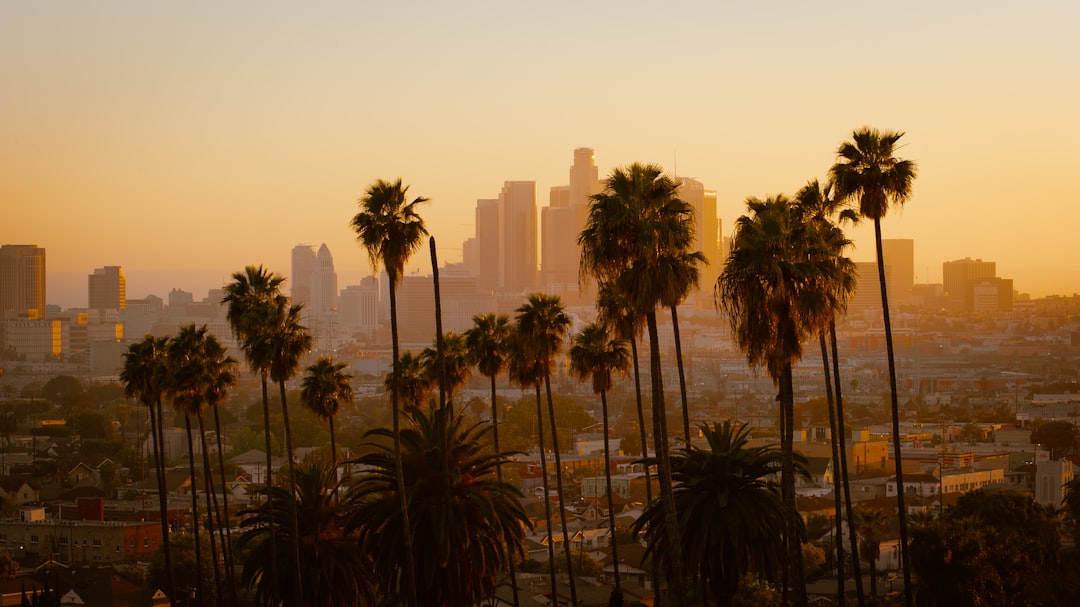 Palm trees silhouetted against the Los Angeles skyline during the golden hour