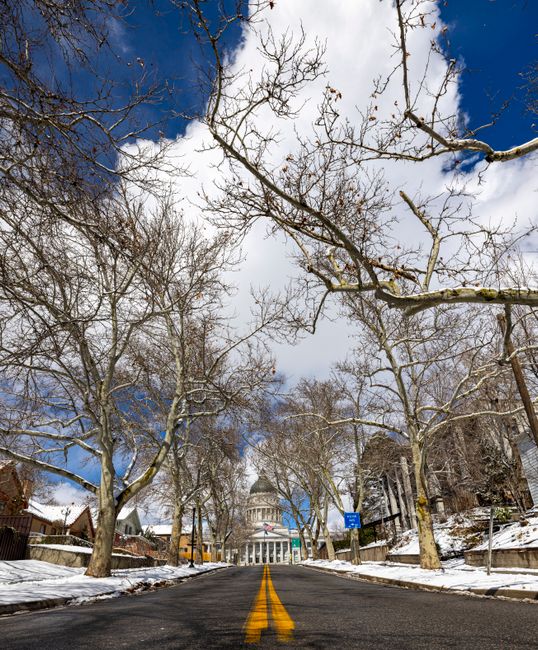Winter scene of a snow-covered street with bare trees leading to a capitol building under a clear blue sky.